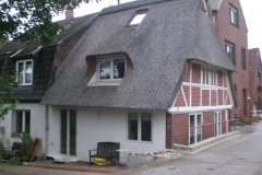 CIMG5901-e1528901525892