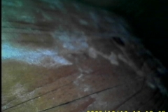 Endoskopieaufnahme von Duchfeuchtungen der Dachkonstruktion